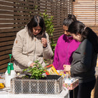 Curso de Huerto Urbano
