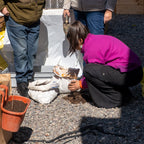 Curso de Huerto Urbano