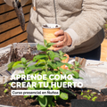 Curso de Huerto Urbano