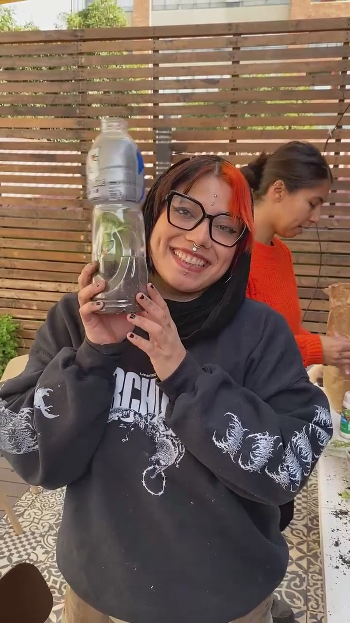 Curso de Huerto Urbano